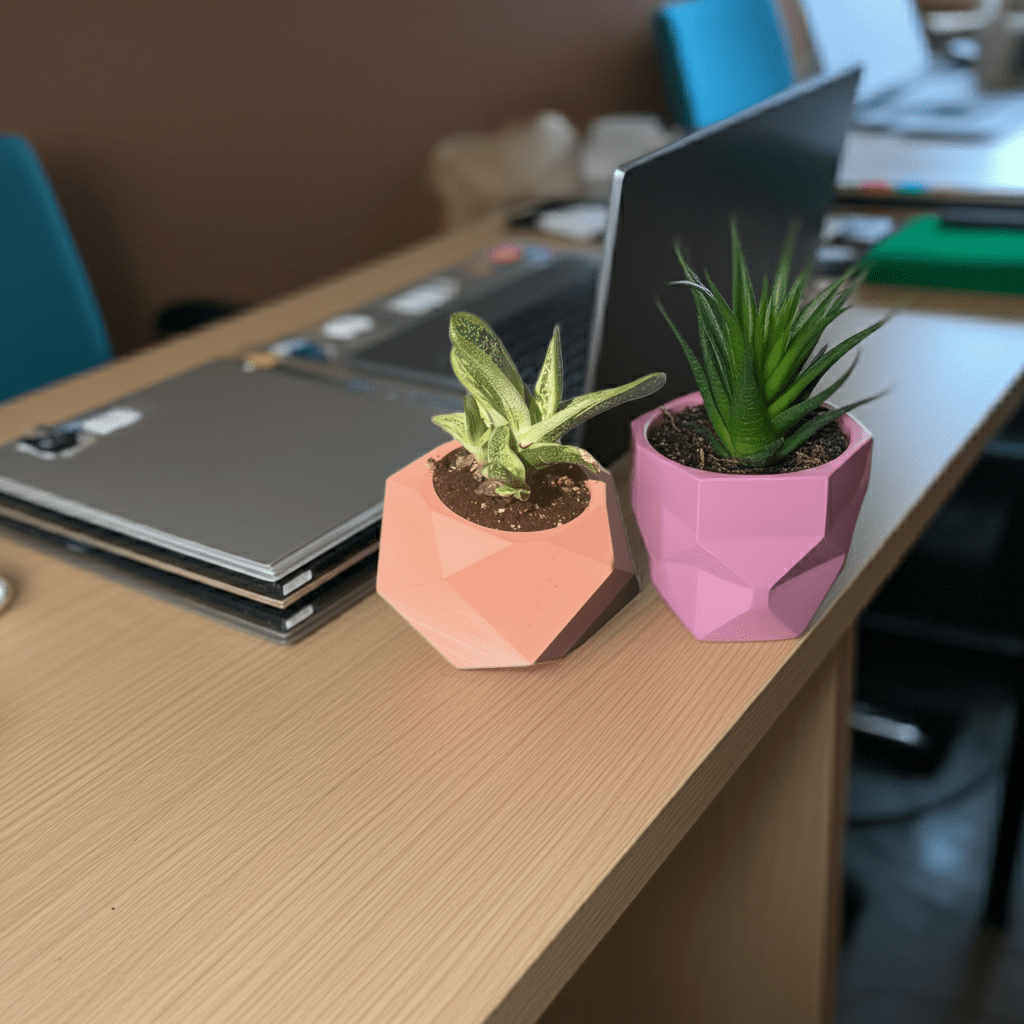 Succulent Planters - Shear Xcitement Boutique