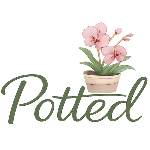 Potted