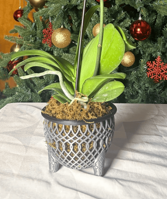 Premium Air - Flow Orchid Pot – Neofinetia / Vanda Style (Lattice Design) - Shear Xcitement Boutique
